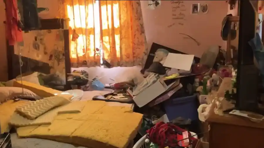 Hoarder cleanout